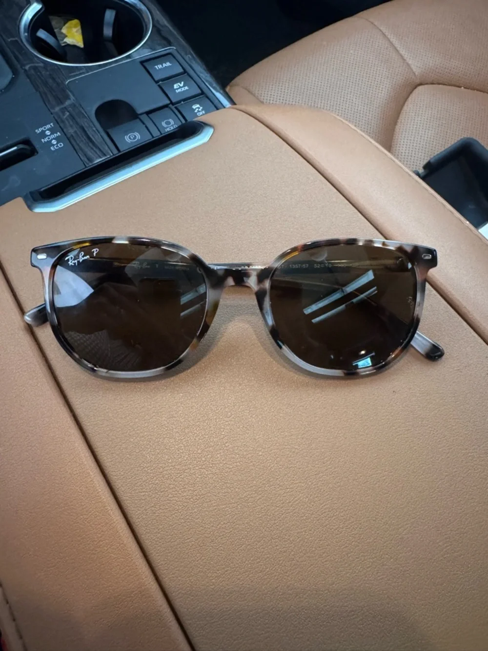 Ray-Ban Elliot Brown Lens Sunglasses